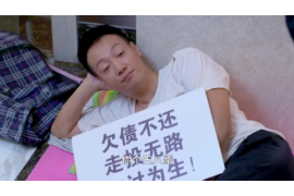 新野如何避免债务纠纷？专业追讨公司教您应对之策