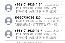 新野对付老赖：刘小姐被老赖拖欠货款