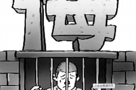 新野为什么选择专业追讨公司来处理您的债务纠纷？